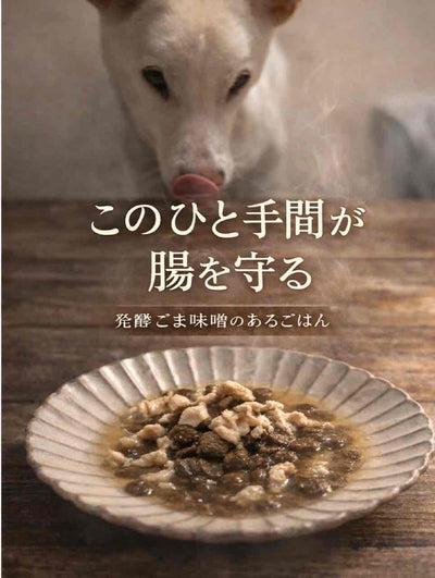 犬の腸に届く胡麻味噌の使い方