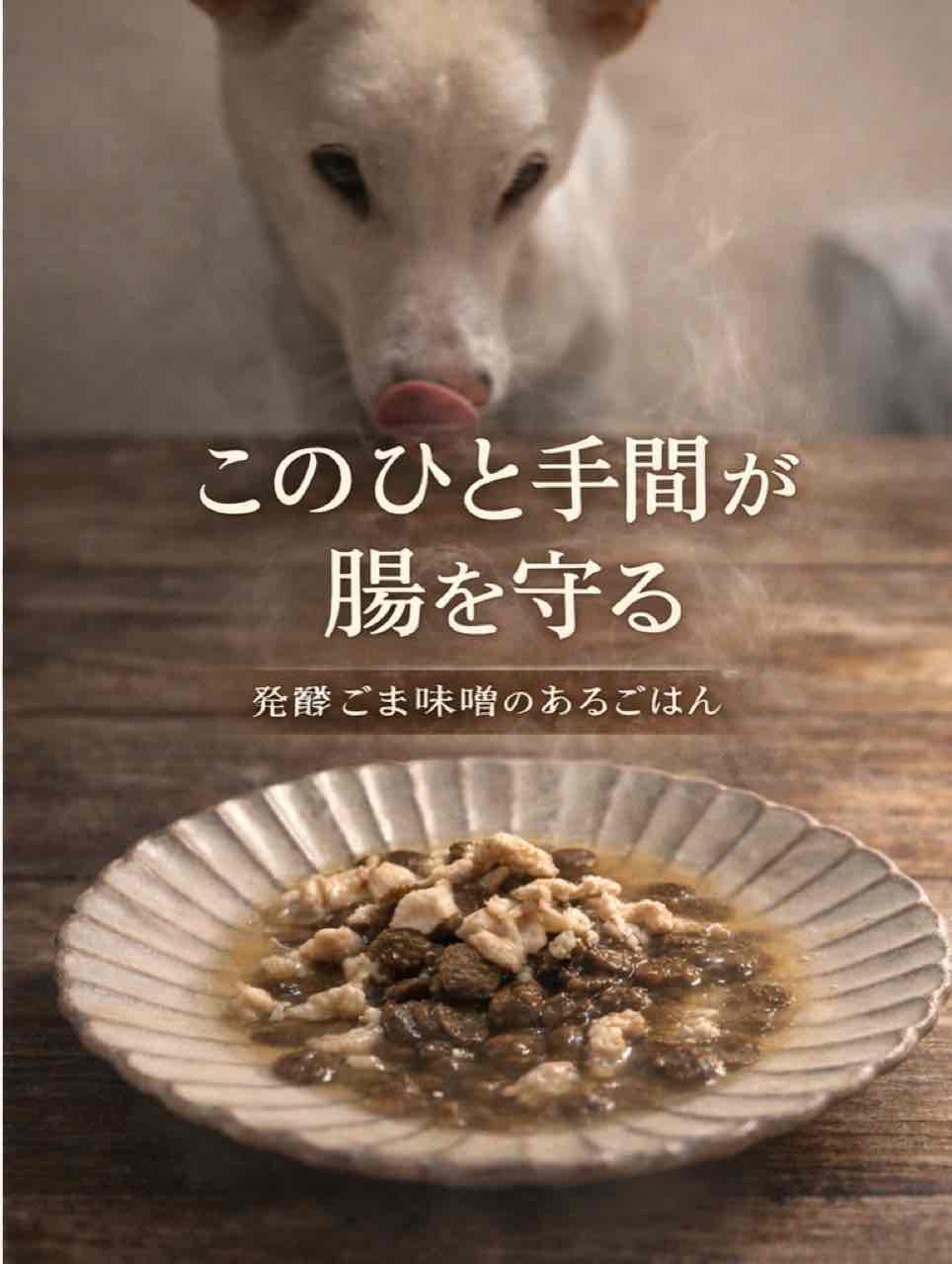犬の腸に届く胡麻味噌の使い方
