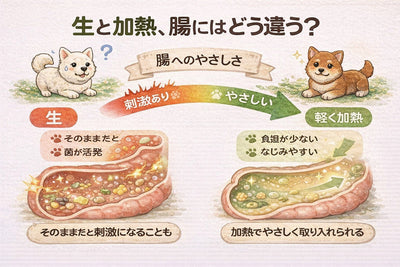 うんちからはじめる犬の腸の話｜第5話