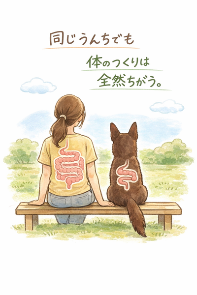 ウンチからはじめる犬の腸の話｜第１話