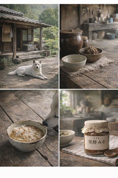 犬に発酵食品は与えてOK？｜味噌は本当にNG?昔の食事と今をつなぐ腸活の話